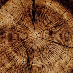 تفاوت سازه های چوبی و MDF چیست / بهترین انتخاب برای شما کدام است؟